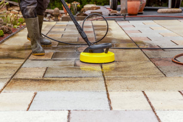 Best Window and Screen Pressure Cleaning in Vla Park, IL
